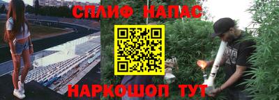 соль ск Кингисепп